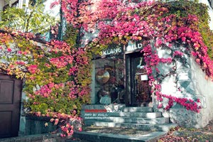 涉縣周邊縣城旅游(涉縣周邊縣城旅游景點(diǎn))