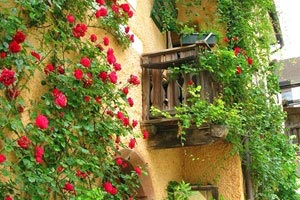 清明節(jié)遼寧旅游最佳去處(遼寧省清明節(jié)去哪里旅游合適)