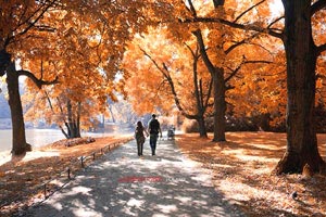 溫州有什么好玩的地方？