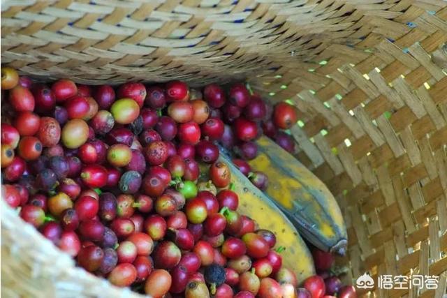 去云南，有什么好吃的推薦？